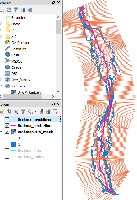 brahma_qgis_initial_meshlines.png